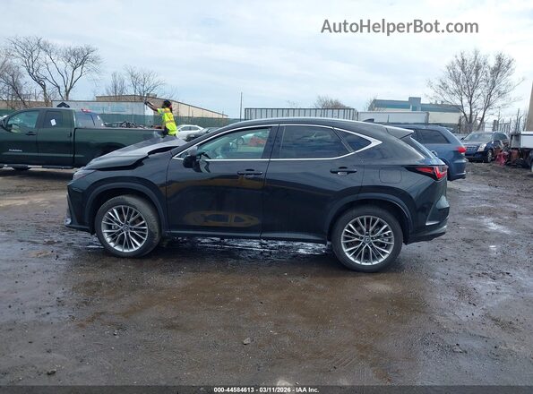 2T2HGCEZ8TC097526 2026 LEXUS NX 350 Black სალონის 360-გრადუსიანი ხედი