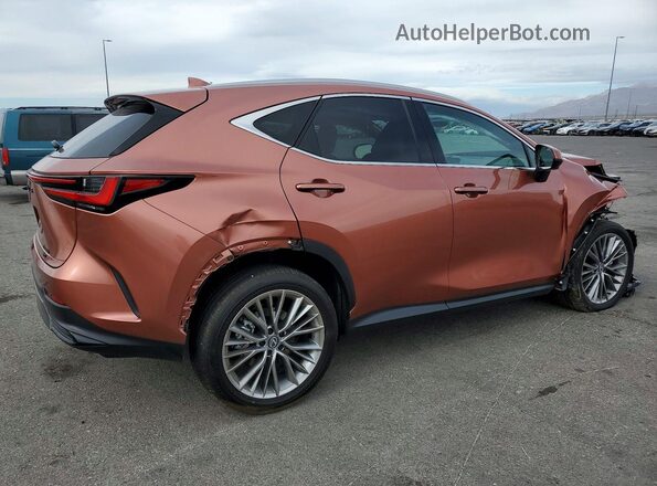 2T2HKCEZ0TC058198 2026 LEXUS NX Оранжевый Задняя правая четверть