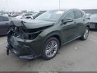2024 Lexus Nx 350h Luxury Зеленый vin: 2T2HKCEZ2RC016785