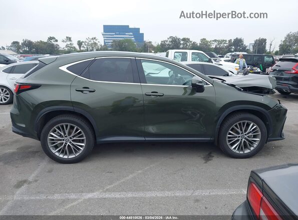 2T2HKCEZ2RC016785 2024 LEXUS NX 350H Зеленый Вид задней части салона