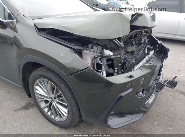 2T2HKCEZ2RC016785 2024 LEXUS NX 350H Зеленый 