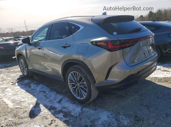 2T2HKCEZXTC066406 2026 LEXUS NX Gray Tył lewy
