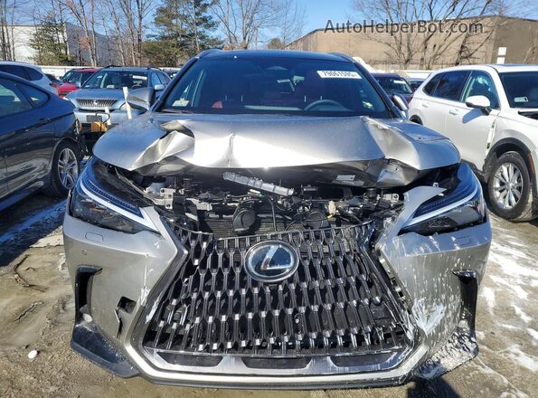 2T2HKCEZXTC066406 2026 LEXUS NX Gray Widok z przodu