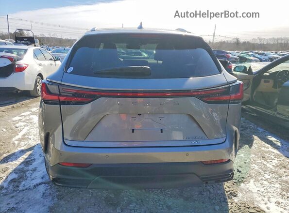 2T2HKCEZXTC066406 2026 LEXUS NX Gray Widok z tyłu