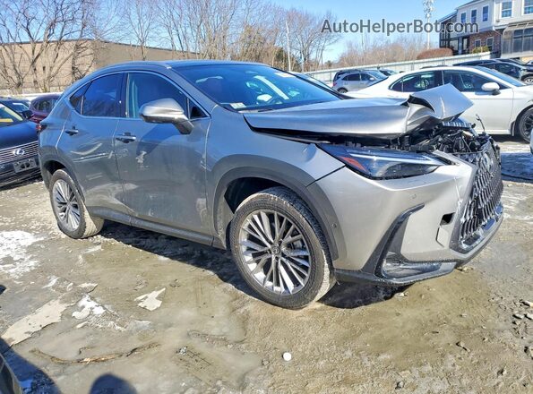 2T2HKCEZXTC066406 2026 LEXUS NX Gray Przód prawy