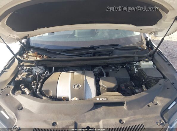 2T2HZMAA9MC192047 2021 LEXUS RX 350 Белый Вид сзади