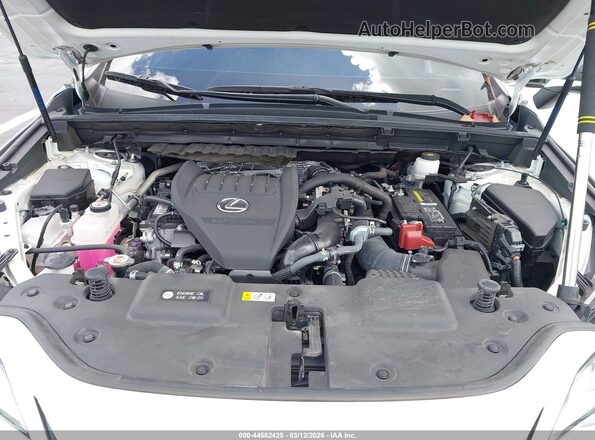 2T2KGCEZ1RC034525 2024 LEXUS NX 350 Белый Вид сзади