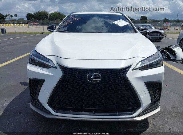 2T2KGCEZ1RC034525 2024 LEXUS NX 350 Белый Вид задней части салона