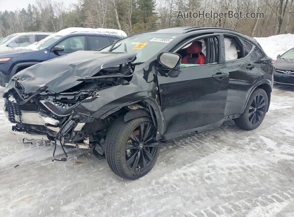 2T2KGCEZ2RC056940 2024 LEXUS NX Black Передня ліва чверть