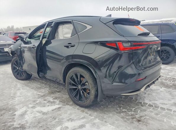 2T2KGCEZ2RC056940 2024 LEXUS NX Black Задня ліва чверть