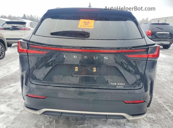 2T2KGCEZ2RC056940 2024 LEXUS NX Black Вид ззаду