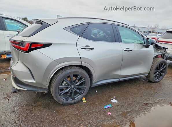 2T2KGCEZ2SC075509 2025 LEXUS NX Gray Tył prawy