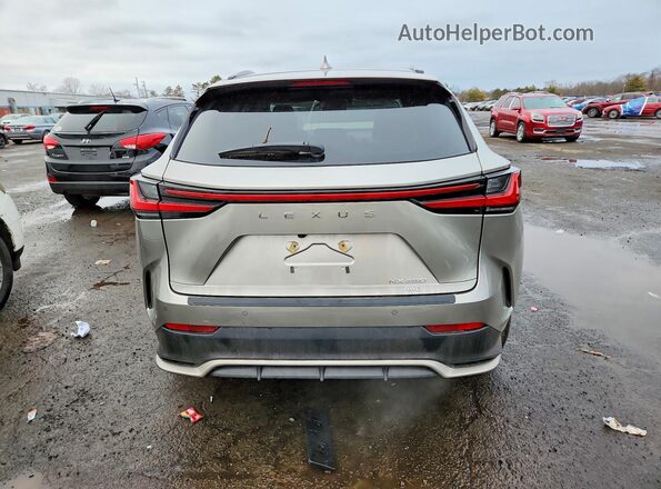 2T2KGCEZ2SC075509 2025 LEXUS NX Gray Widok z tyłu