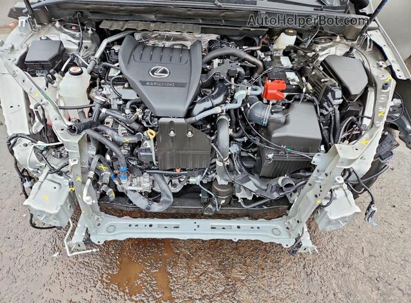 2T2KGCEZ2SC075509 2025 LEXUS NX Gray Widok komory silnika