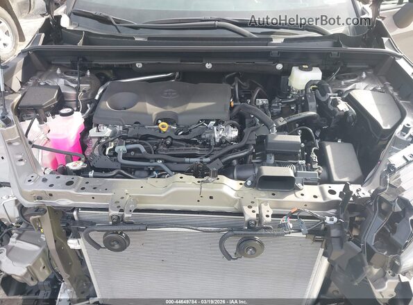 2T36CRAV1TW003635 2026 TOYOTA RAV4 Champagne Вид сзади