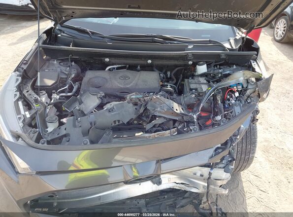 2T3C1RFV6PC227699 2023 TOYOTA LE Gray Widok z tyłu