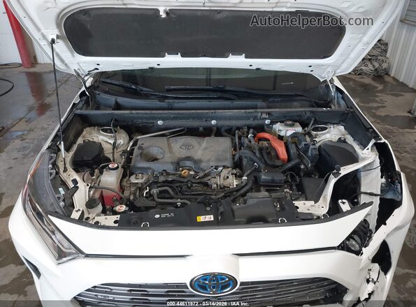 2T3D6RFV1MW018242 2021 TOYOTA LIMITED Белый Вид сзади