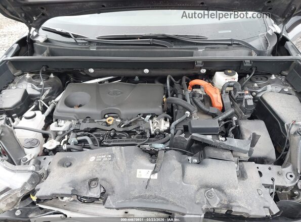 2T3E6RFV5PW046344 2023 TOYOTA RAV4 HYBRID Серый Вид сзади