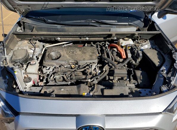 2T3E6RFVXMW003517 2021 TOYOTA RAV4 Серебряный Вид задней части салона