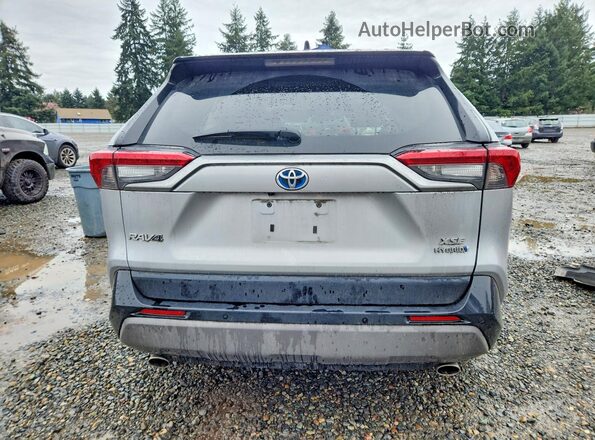 2T3EWRFV8LW060507 2020 TOYOTA RAV4 Серебряный Вид сзади