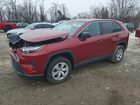 2024 Toyota Rav4 Le Red vin: 2T3F1RFV3RW466013