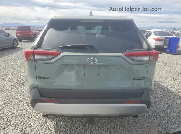 2T3J1RFV1KW021513 2019 TOYOTA RAV4 Gray Widok z tyłu