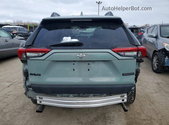 2T3J1RFV2KW017745 2019 TOYOTA RAV4 Gray Вид ззаду