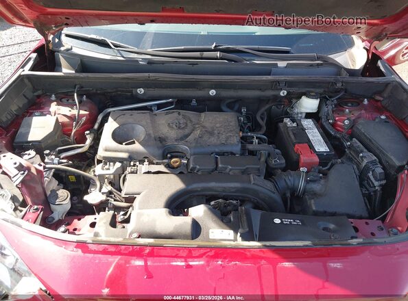 2T3J1RFV4LC135668 2020 TOYOTA RAV4 Красный Вид сзади