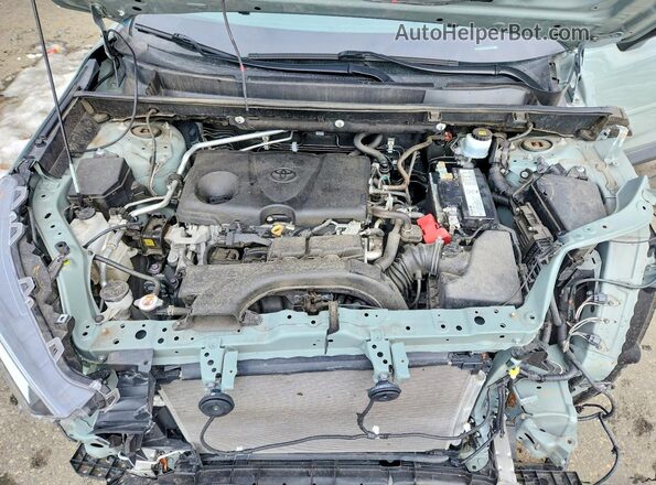 2T3J1RFV5KW007419 2019 TOYOTA RAV4 Gray Սալոնի հետևի տեսք