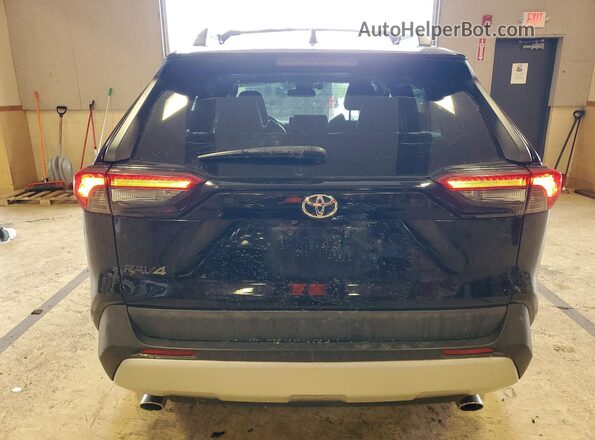 2T3J1RFV6KW003105 2019 TOYOTA RAV4 Серый Вид сзади