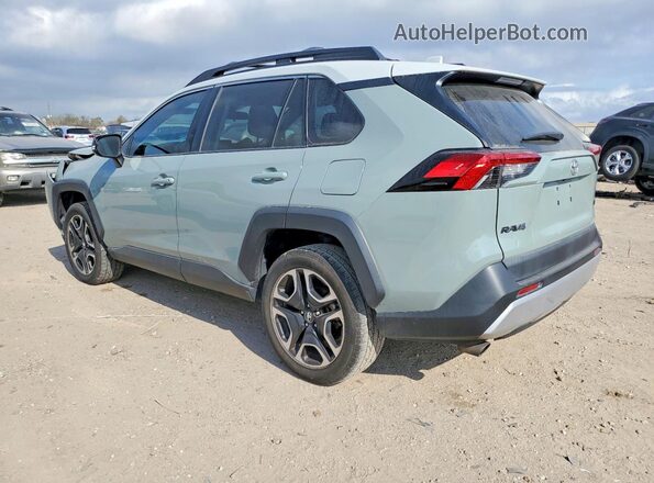 2T3J1RFV8KW017443 2019 TOYOTA RAV4 Зеленый Задняя левая четверть