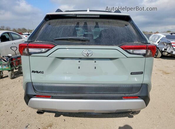 2T3J1RFV8KW017443 2019 TOYOTA RAV4 Зеленый Вид сзади