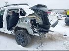 2024 Toyota Rav4 Adventure Белый vin: 2T3J1RFVXRW458954