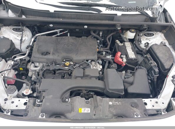 2T3J1RFVXRW458954 2024 TOYOTA RAV4 Белый Вид сзади