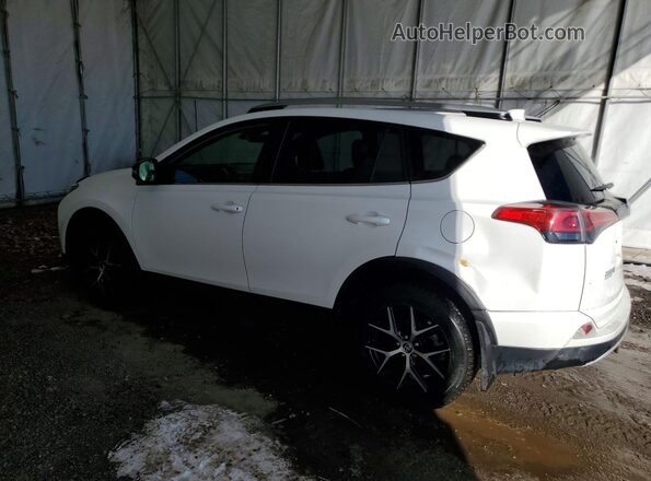2T3JFREV7HW623361 2017 TOYOTA RAV4 White Rear left
