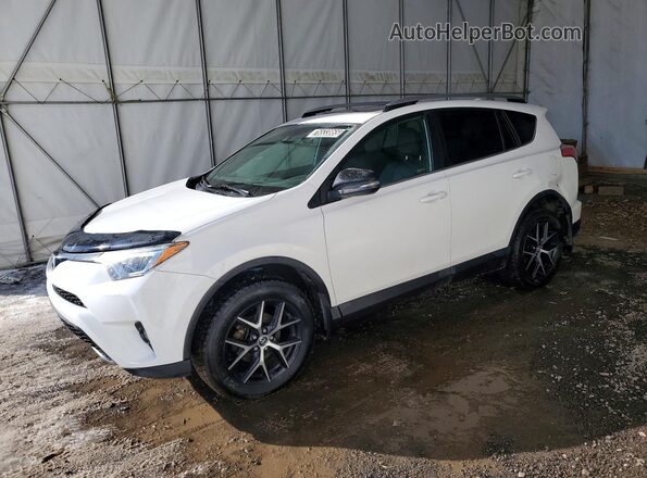 2T3JFREV7HW623361 2017 TOYOTA RAV4 White Front left