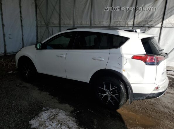 2T3JFREV7HW623361 2017 TOYOTA RAV4 White 360 interior view