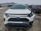 2019 Toyota Rav4 White vin: 2T3RWRFV7KW046176