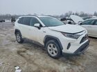 2019 Toyota Rav4 White vin: 2T3RWRFV7KW046176