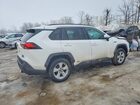 2019 Toyota Rav4 White vin: 2T3RWRFV7KW046176