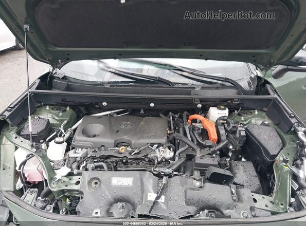 2T3UWRFV0SW253504 2025 TOYOTA RAV4 HYBRID Green Widok z tyłu