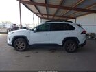2023 Toyota Rav4 Hybrid Woodland Edition White vin: 2T3UWRFV1PW168548