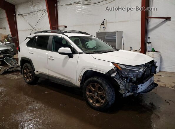 2T3UWRFV4PW184940 2023 TOYOTA RAV4 White Передня права чверть