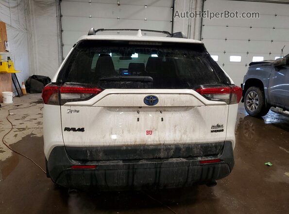 2T3UWRFV4PW184940 2023 TOYOTA RAV4 White Вид ззаду
