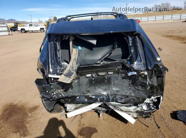 2T3UWRFV9SW293130 2025 TOYOTA RAV4 Black Widok z tyłu