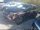 2016 Toyota Rav4 Xle Темно-бордовый vin: 2T3WFREV8GW295033