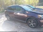 2016 Toyota Rav4 Xle Темно-бордовый vin: 2T3WFREV8GW295033