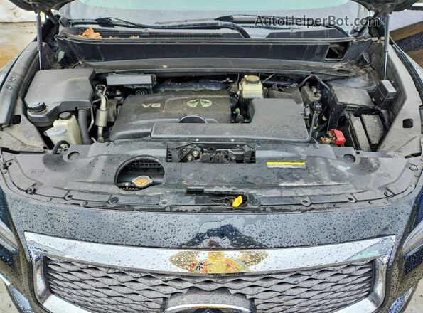 5N1DL0MM0KC507421 2019 INFINITI QX60 Черный Вид наклейки с VIN-кодом