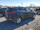 2019 Kia Sportage Lx Black vin: KNDPM3AC5K7626344