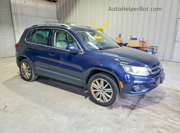 WVGBV7AX1GW545593 2016 VOLKSWAGEN TIGUAN Синий Вид спереди